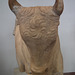 Head of Bull statue in Museum at Olympia
