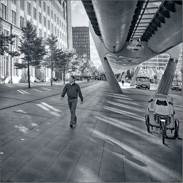 Walking the lane filled with reflections