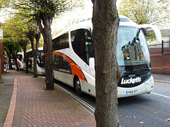 Lucketts in Gosport (1) - 30 October 2013