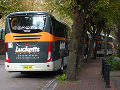 Lucketts in Gosport (2) - 30 October 2013