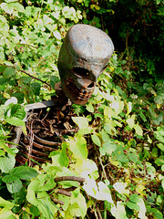 Skeleton in the Bushes