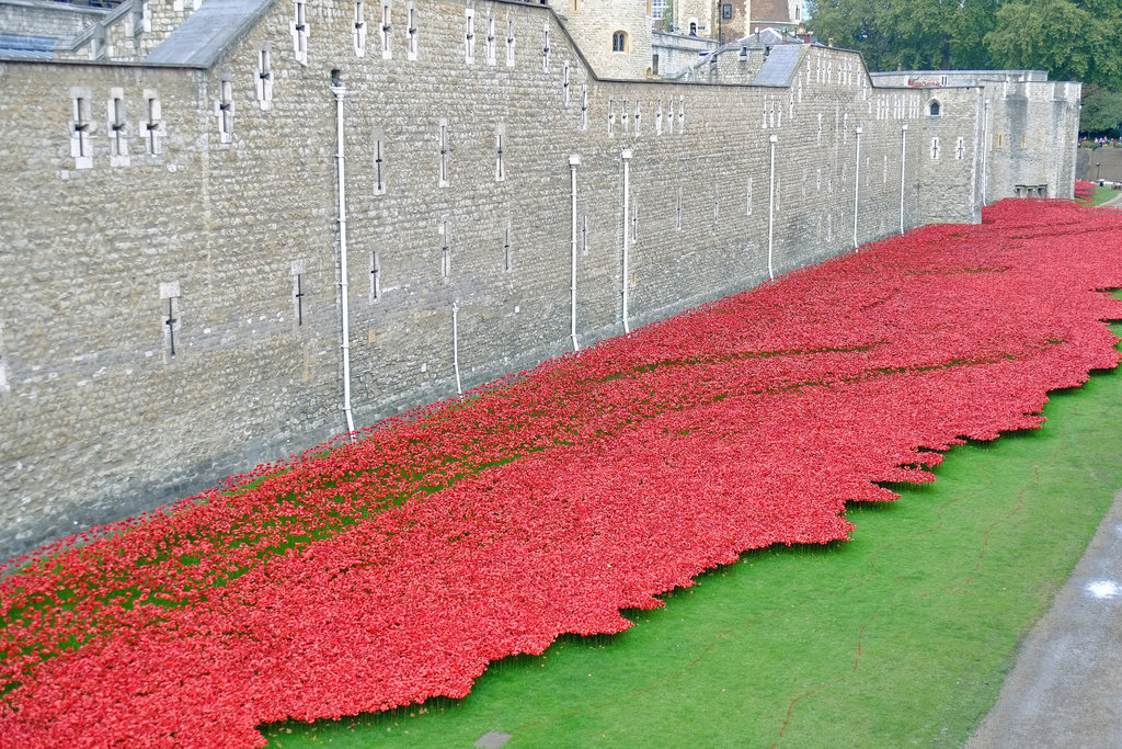 Blood Swept Lands and Seas of Red 2