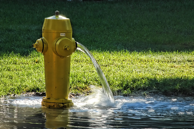 hydrant