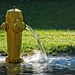 hydrant