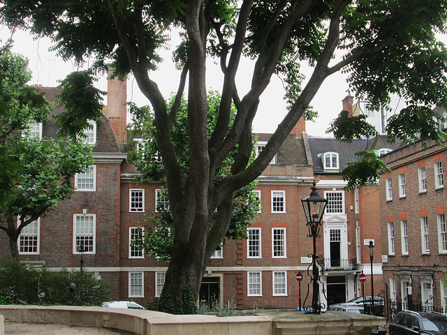 Smith Square from St.Johns (former) Church.