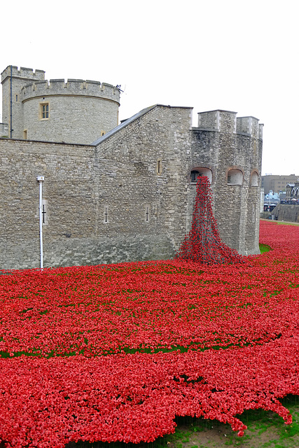 Blood Swept Lands and Seas of Red 17