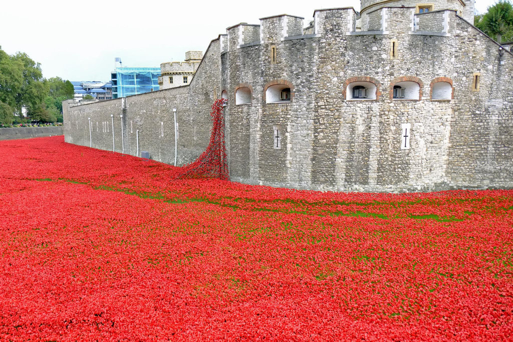 Blood Swept Lands and Seas of Red 24