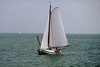 Sailing ship Allegro on the IJsselmeer