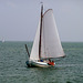 Sailing ship Allegro on the IJsselmeer