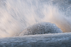 Exubérance aquatique, jour de bise, quai de Cologny