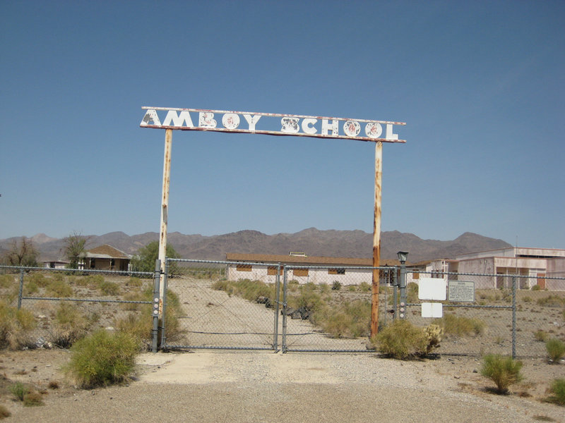 Amboy 50