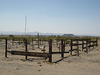 Amboy 54