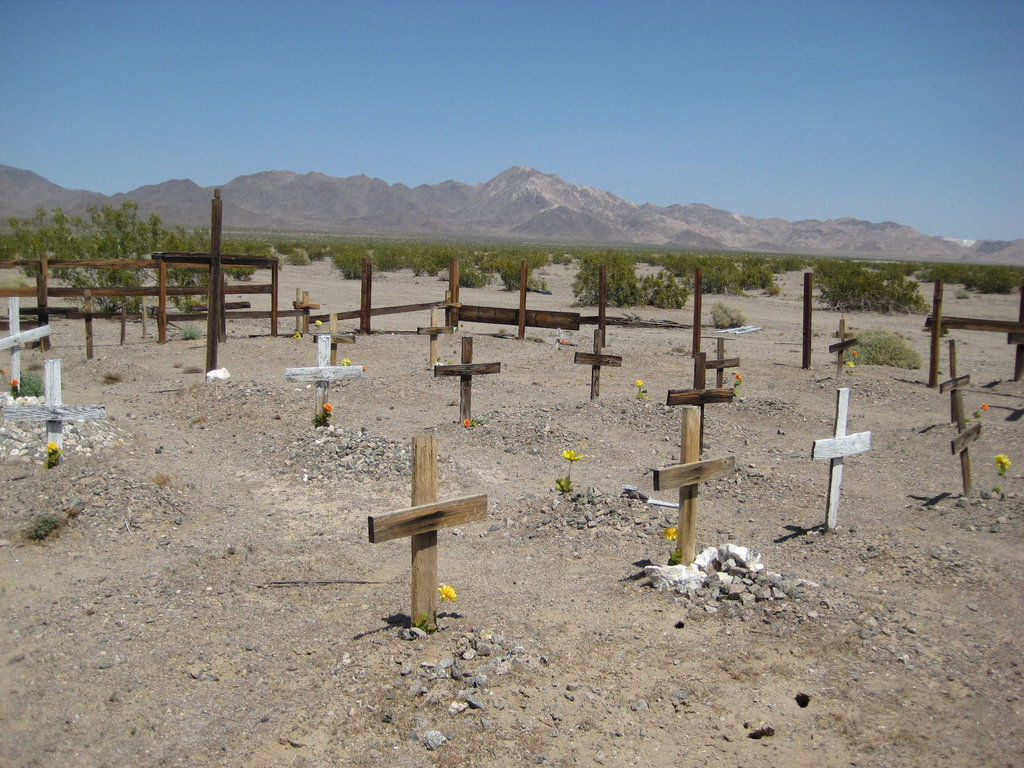 Amboy 53