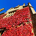 barrington court, somerset