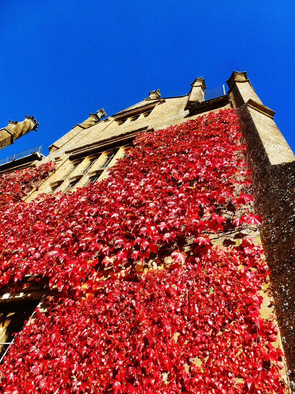 barrington court, somerset