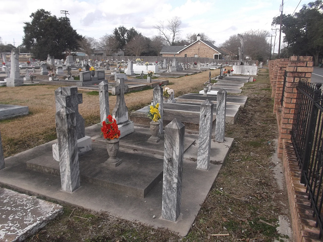 La Louisiane en deuil / Louisiana mourning.