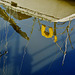 Reflections. St Peters Basin