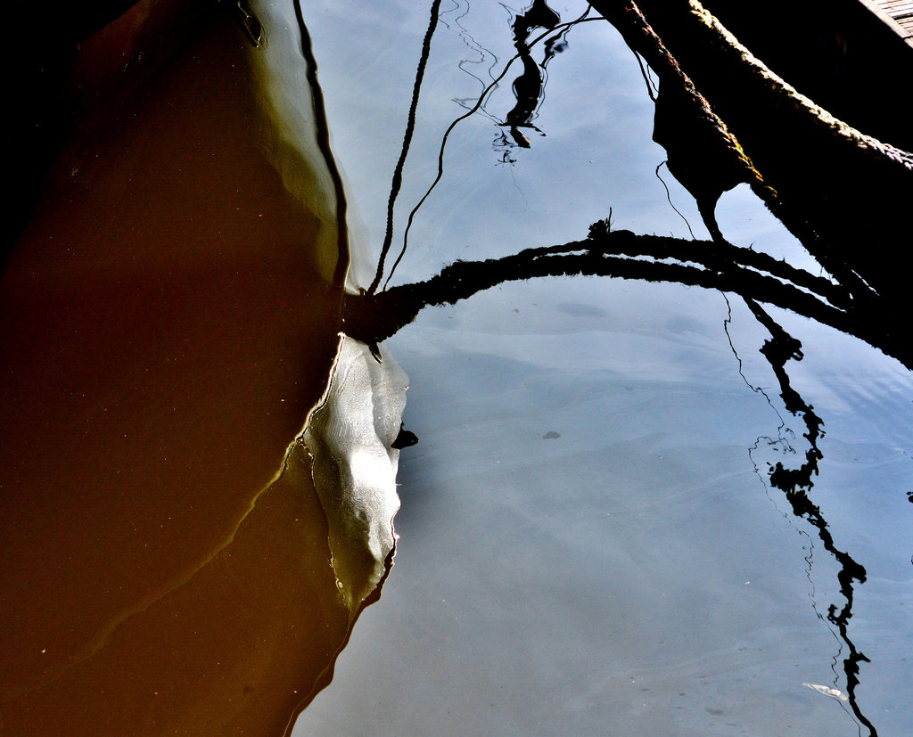 Reflections. St Peters Basin
