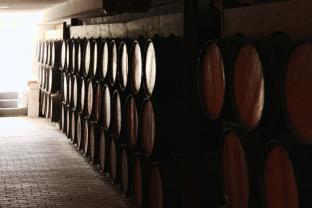 Cellar at Pelee Island Winery