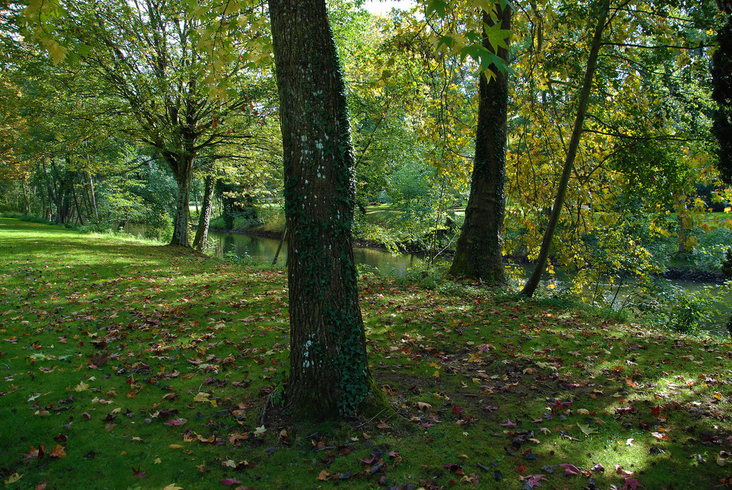 Par une belle journée ensoleillée d'octobre