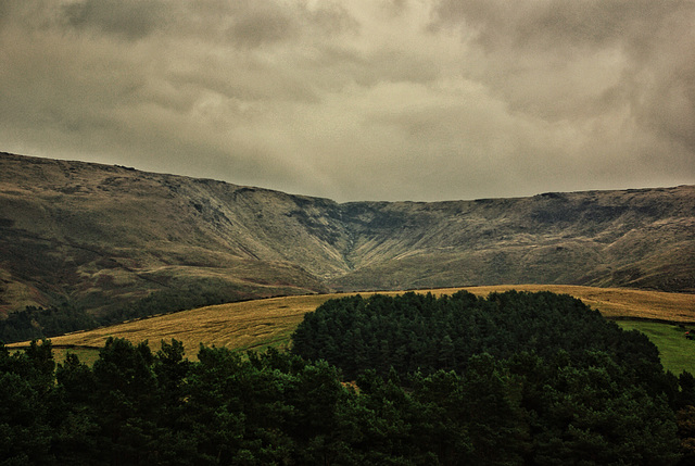 Kinder Downfall