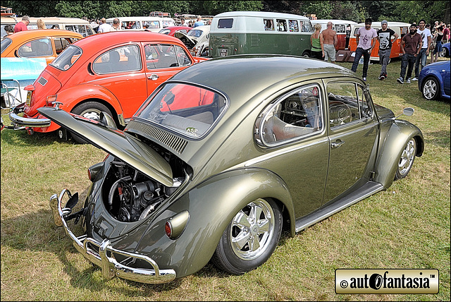 VW Beetle