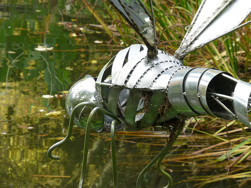 Hillier Gardens (2) - 7 October 2013