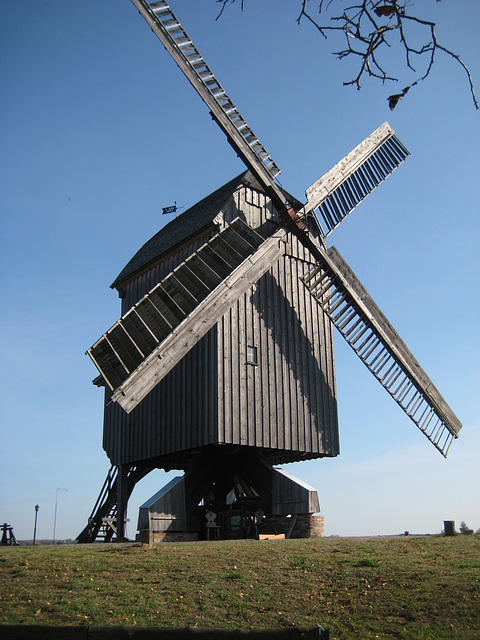 Beelitz - Bockwindmühle/5