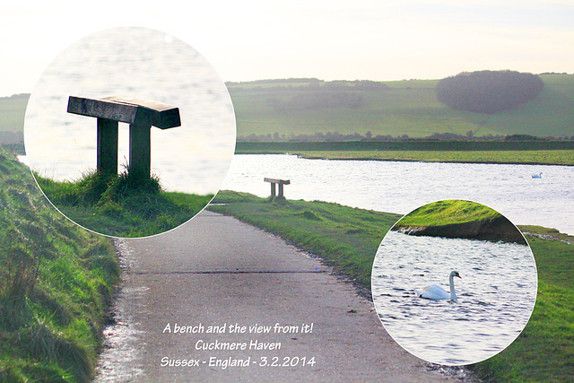 Bench & swan - Cuckmere - 3.2.2014