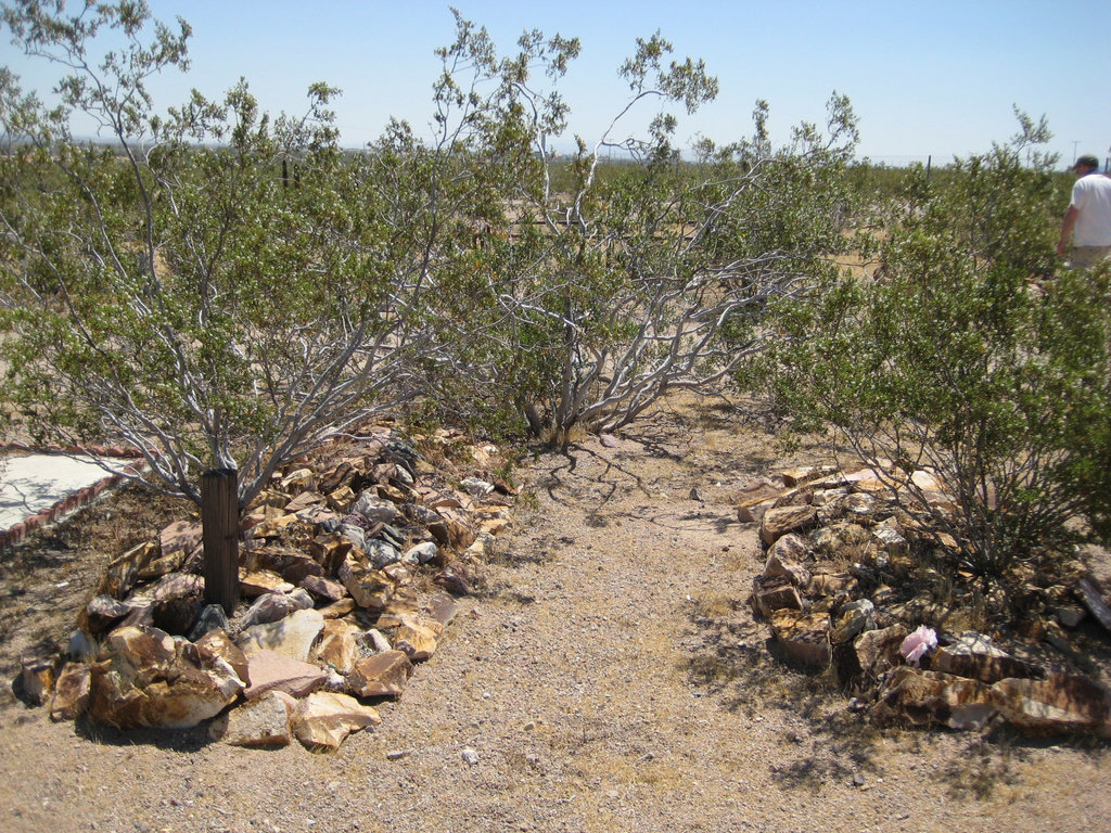 Rte66_Mojave_050