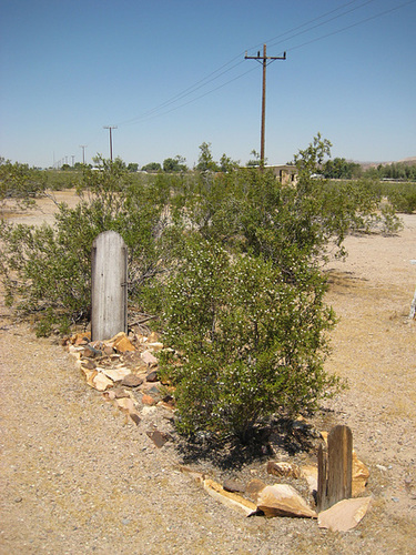 Rte66_Mojave_055