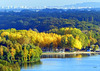 Plage d'automne