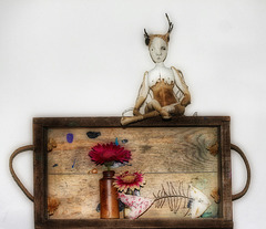 acorn 2