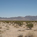 Rte66_Mojave_093