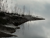 Mudbank on the River Dee at Kirkcudbright