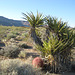 Rte66_Mojave_109