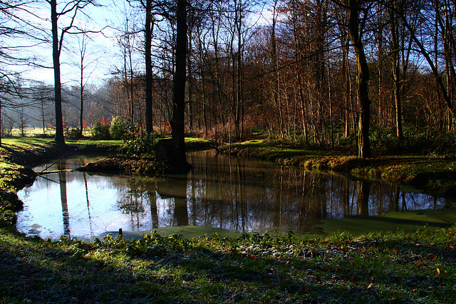 Un petit matin dans l'Avesnois