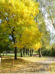 jardin des 4 Jeudis,