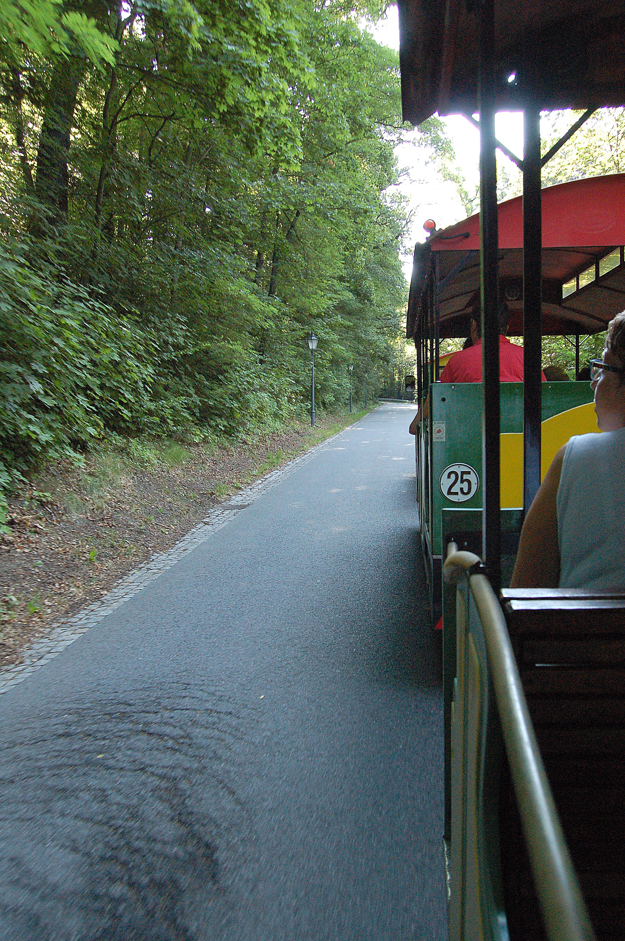 eksprestrajno  (Expresszug)