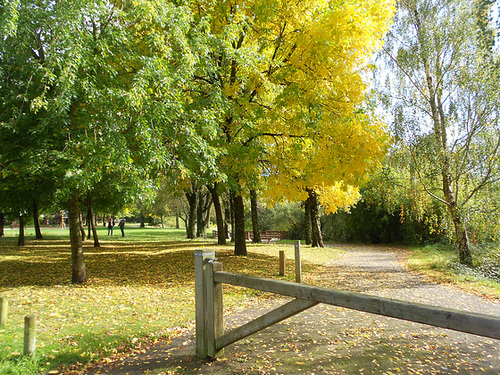 jardin des 4 jeudis,