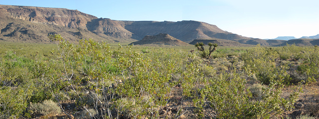 Rte66_Mojave_124