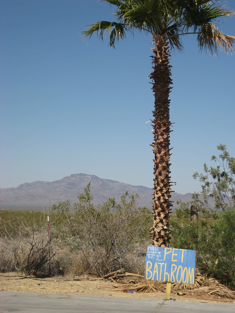 Rte66_Mojave_139