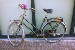 Fongers 1e soort D bicycle