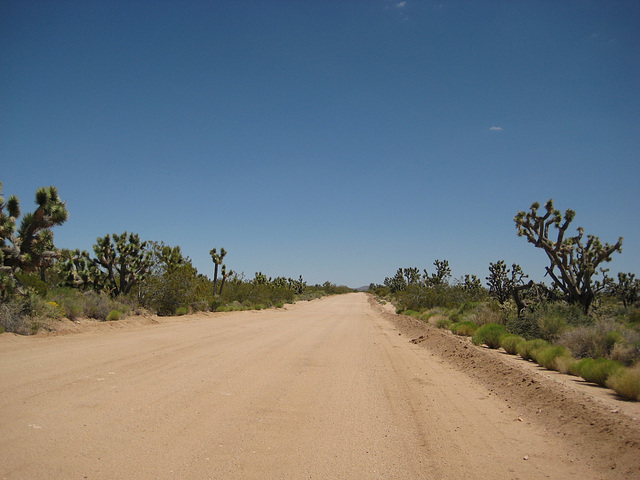 Rte66_Mojave_146