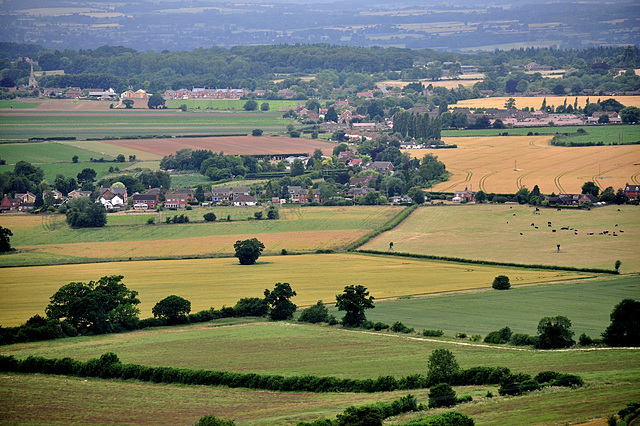 Wiltshire