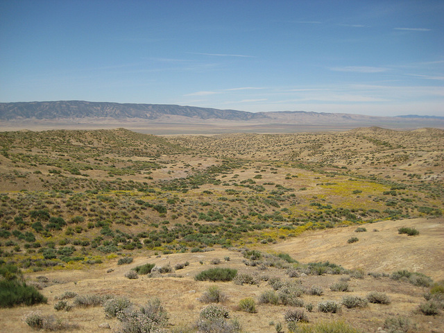 Rte66_Mojave_199