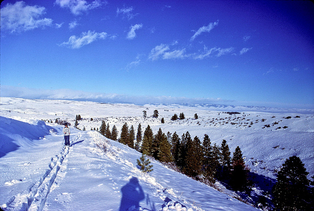 20-j_on_trail_adj