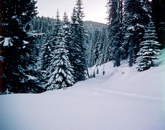 39-snowy_trail_trim_adj