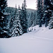 39-snowy_trail_trim_adj