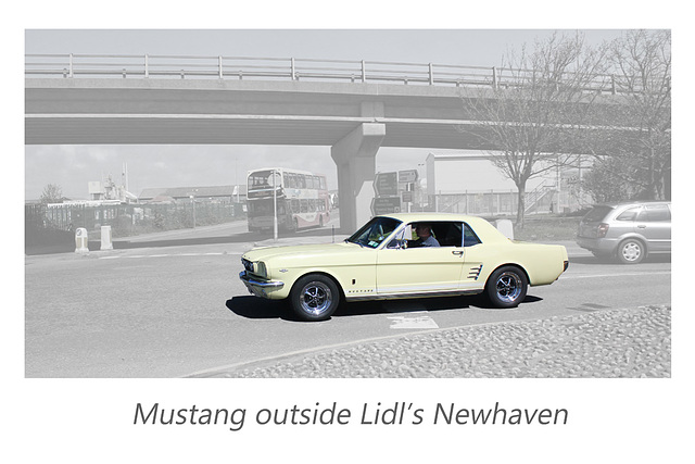 Ford Mustang - Newhaven - 11.5.2013